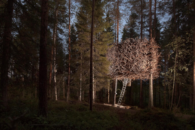 Bird's Nest - Treehotel