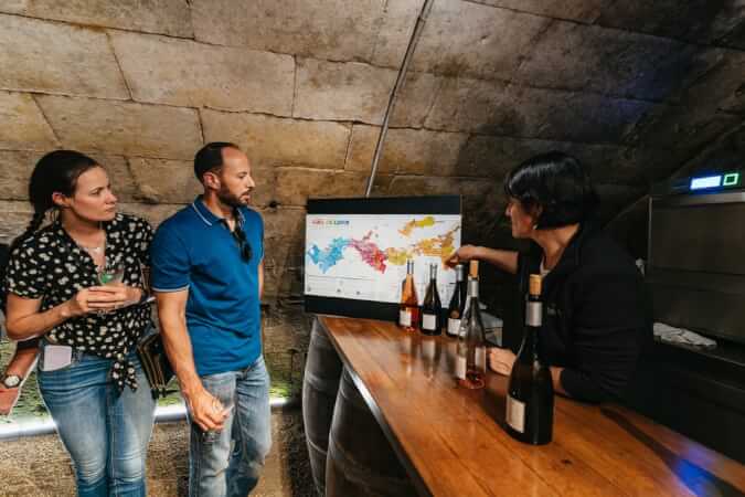 Loire Valley Castles With Wine Tasting