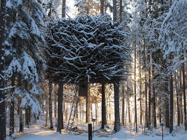 The Bird's Nest - Treehotel