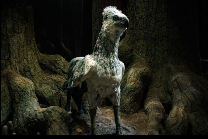 The Making of Harry Potter Tour