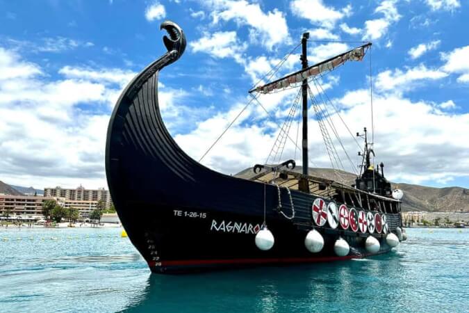Viking Cruise with Dolphins & Whales
