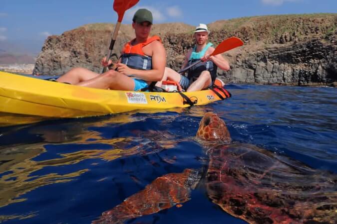 Swim with Turtles in Tenerife