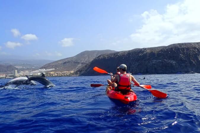 Swim with Turtles in Tenerife