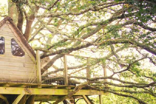 Romantic Treehouse Getaways - The Odder Way